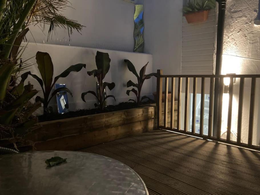 Brighton Palms公寓 外观 照片