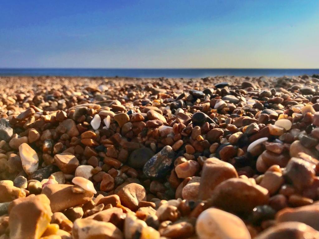 Brighton Palms公寓 外观 照片